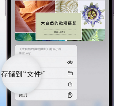 九寨沟apple维修中心分享iPhone文件应用中存储和找到下载文件