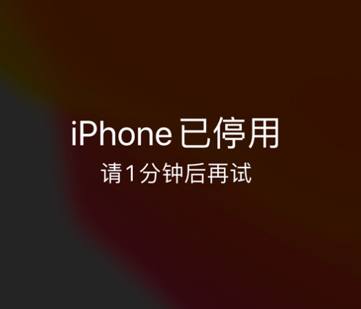 九寨沟苹果手机维修分享:iPhone 显示“不可用”或“已停用”怎么办？还能保留数据吗？ 