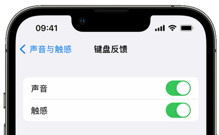 九寨沟苹果手机维修分享iPhone 14触感键盘使用方法 