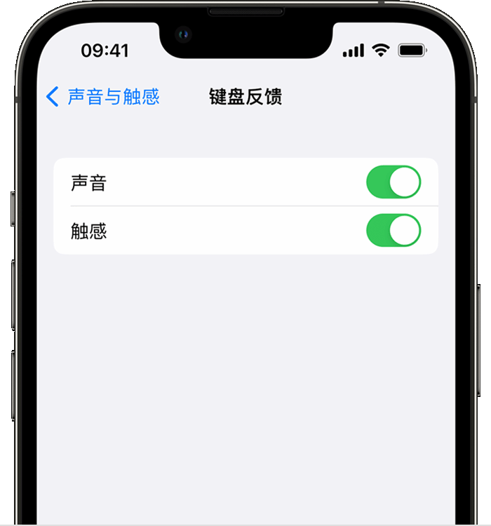 九寨沟苹果14维修店分享如何在 iPhone 14 机型中使用触感键盘 