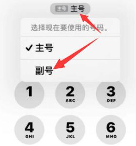 九寨沟苹果14维修店分享iPhone 14 Pro Max使用副卡打电话的方法 