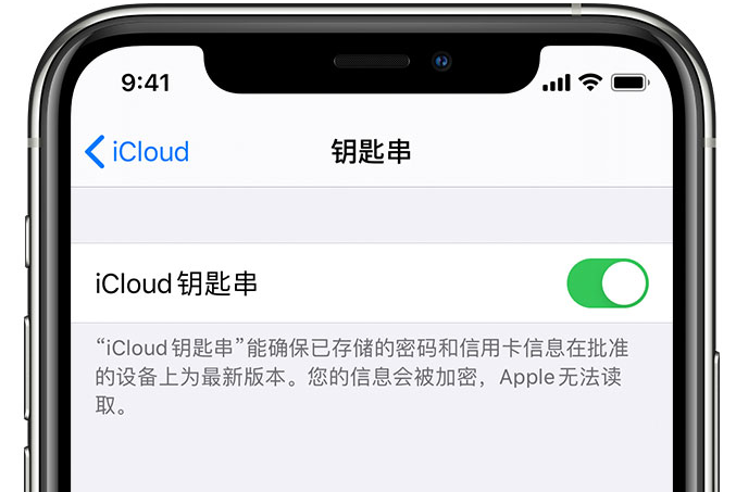 九寨沟苹果手机维修分享在 iPhone 上开启 iCloud 钥匙串之后会储存哪些信息 